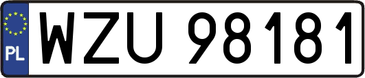 WZU98181