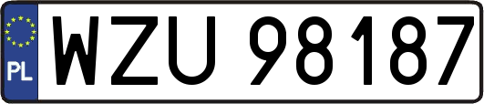 WZU98187