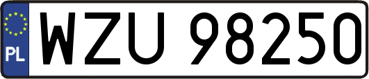 WZU98250