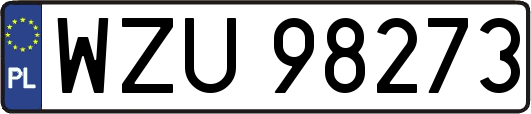 WZU98273