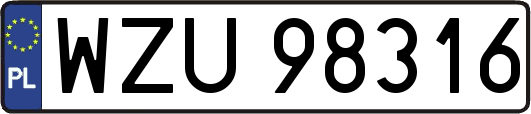 WZU98316