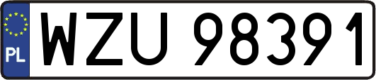 WZU98391