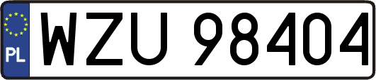 WZU98404