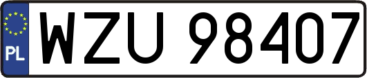 WZU98407