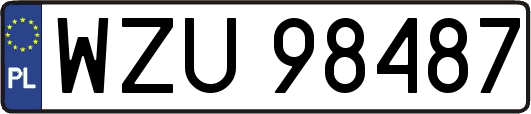 WZU98487