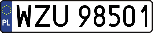 WZU98501