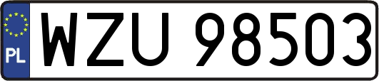 WZU98503