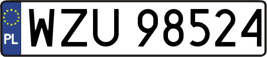 WZU98524