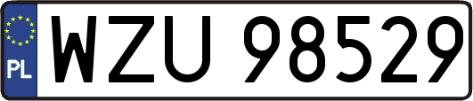 WZU98529