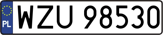 WZU98530
