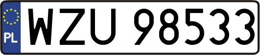 WZU98533