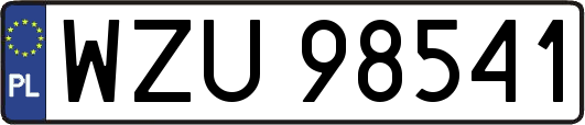 WZU98541