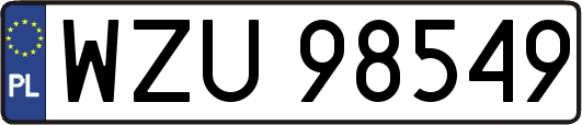WZU98549