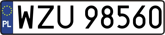 WZU98560
