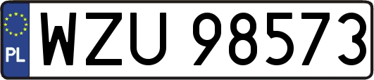 WZU98573