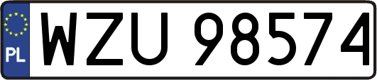 WZU98574