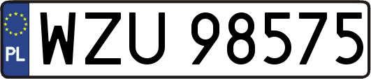 WZU98575