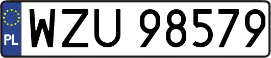 WZU98579