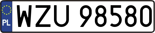 WZU98580