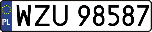 WZU98587