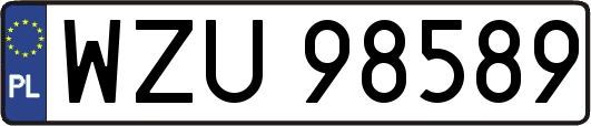 WZU98589