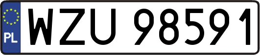 WZU98591