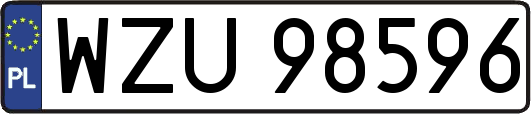 WZU98596