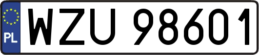 WZU98601