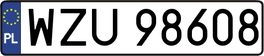 WZU98608