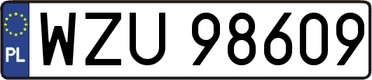 WZU98609