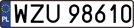 WZU98610