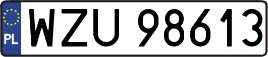 WZU98613