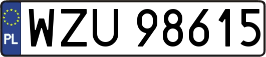 WZU98615