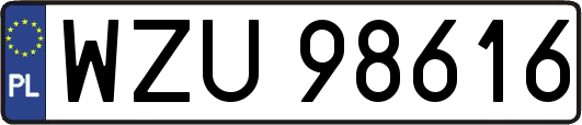 WZU98616