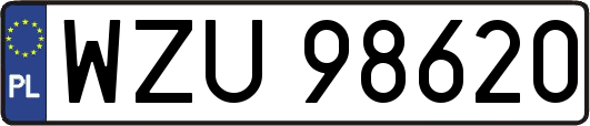 WZU98620