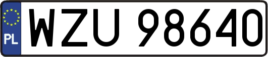 WZU98640