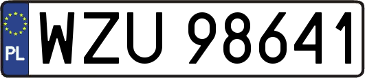 WZU98641