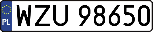 WZU98650
