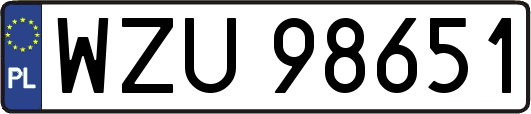 WZU98651