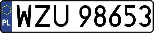 WZU98653