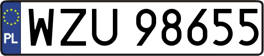 WZU98655