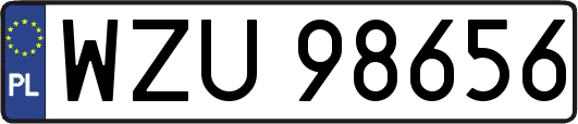 WZU98656