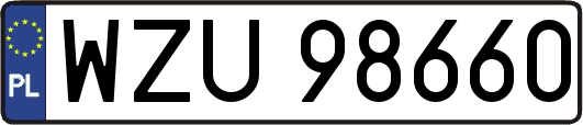 WZU98660