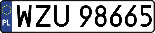 WZU98665