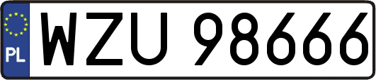 WZU98666