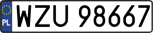 WZU98667