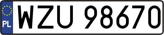 WZU98670