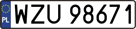 WZU98671
