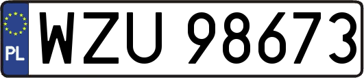 WZU98673