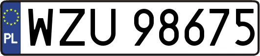 WZU98675